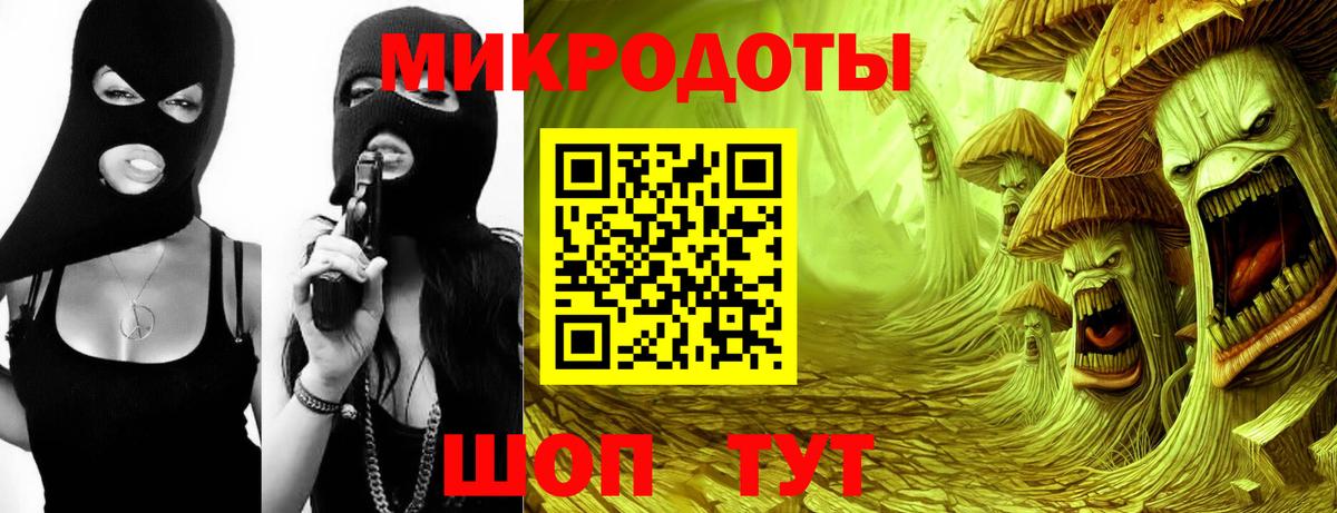 Вязьма  Псилоцибиновые грибы прущие грибы  Вход с VPN 